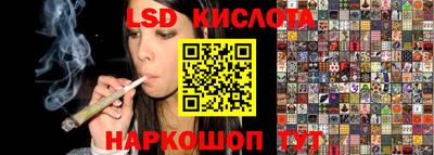 амф Гусев