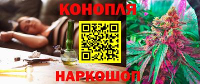 амф Гусев