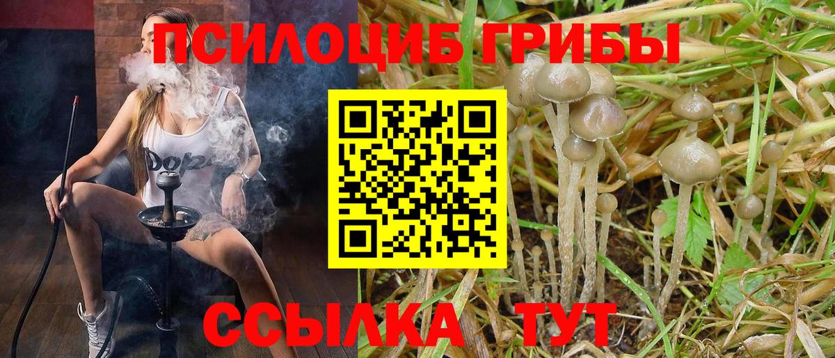 Галлюциногенные грибы GOLDEN TEACHER  Вход с VPN  Белебей 